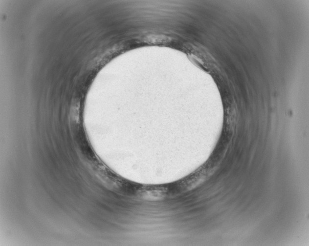 X0000085240368200704092029