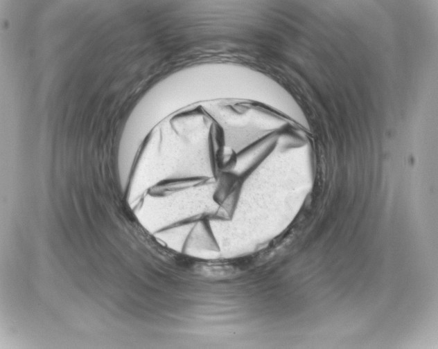 X0000085240372200704092029