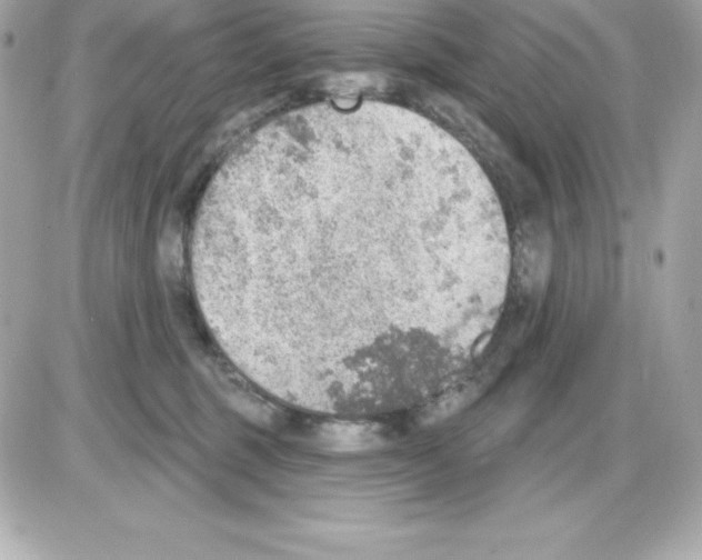 X0000085240375200704092029