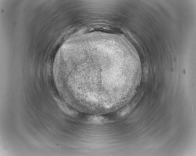 X0000085240379200704092029