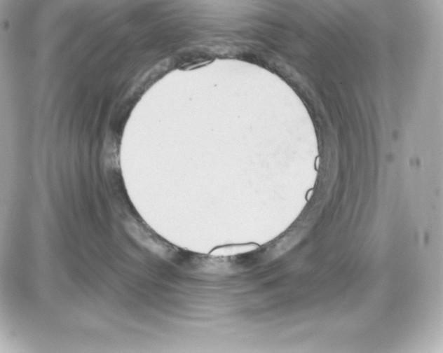 X0000085240384200704092029