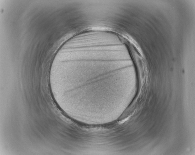 X0000085240385200704092029