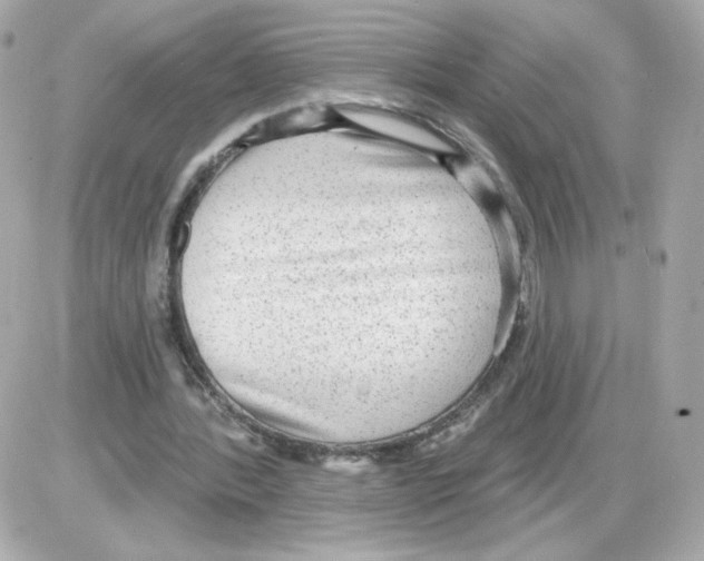X0000085240388200704092029
