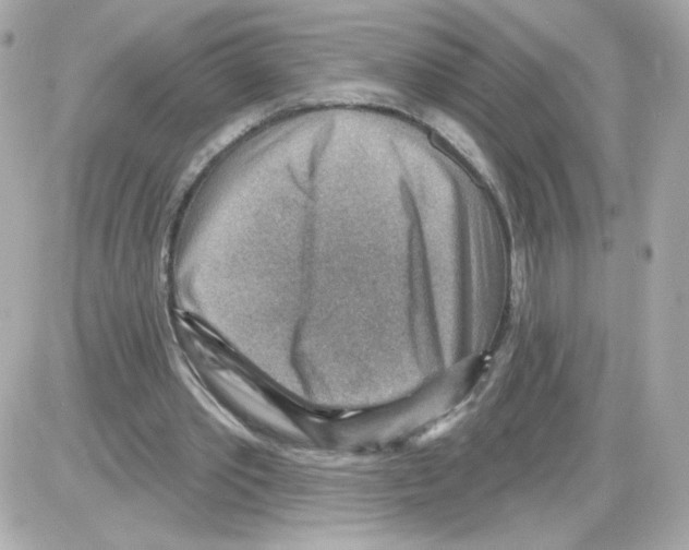 X0000085240389200704092029