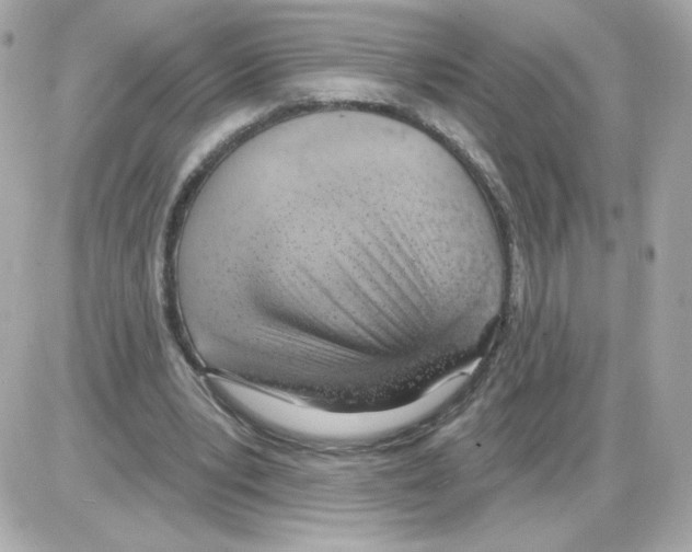X0000085240391200704092029