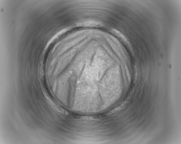 X0000085240392200704092028