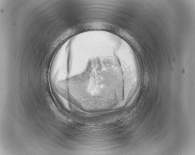 X0000085240394200704092028