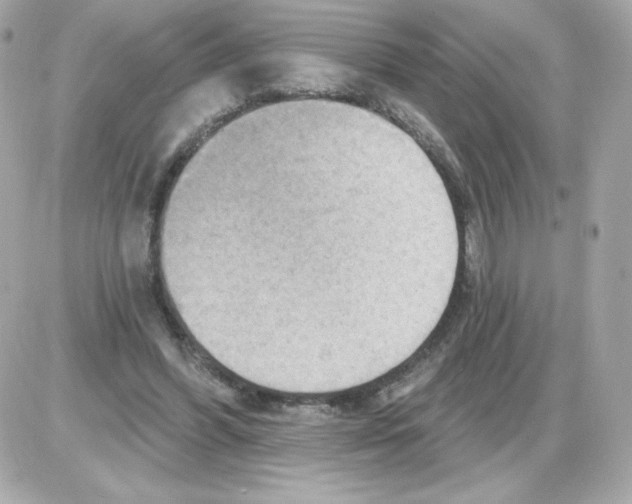 X0000085240396200704092028