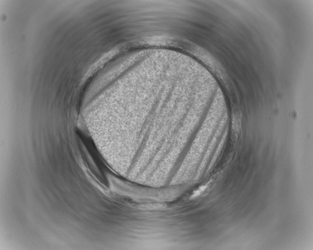 X0000085240397200704092028
