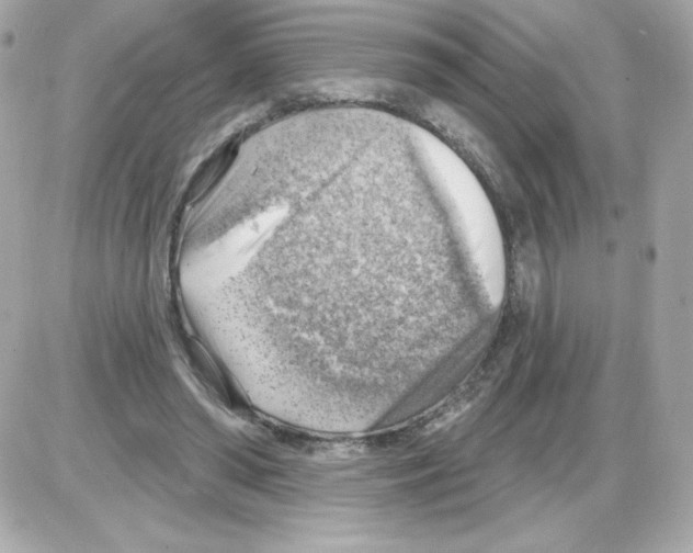 X0000085240398200704092028