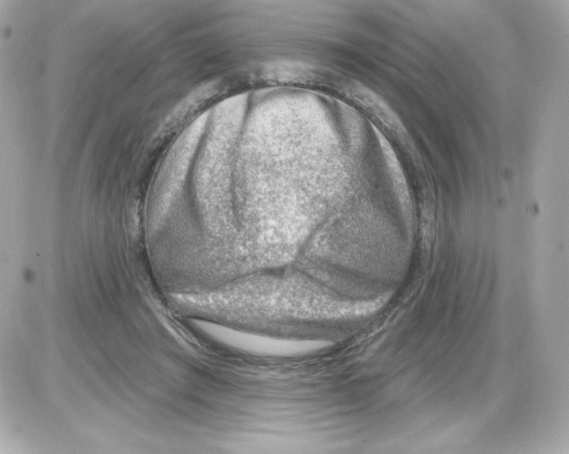 X0000085240401200704092028