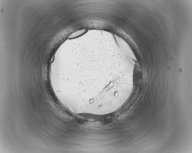 X0000085240403200704092028