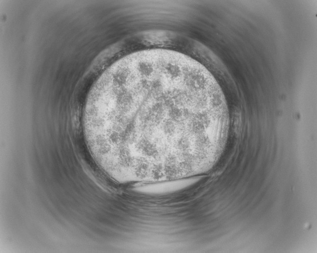 X0000085240408200704092028