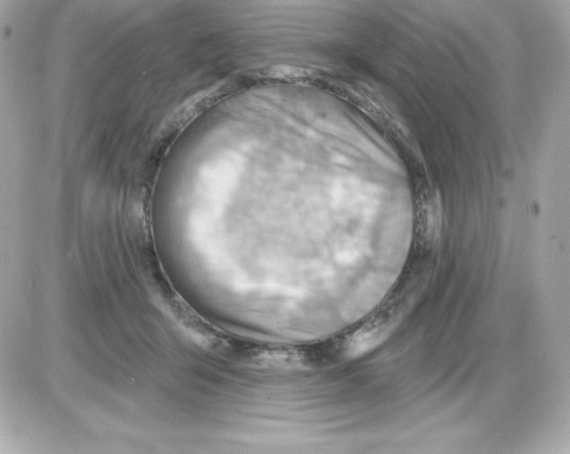 X0000085240415200704092028
