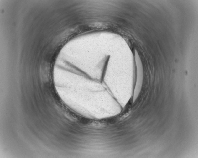 X0000085240416200704092028