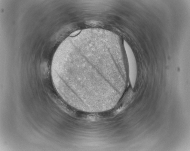 X0000085240420200704092028