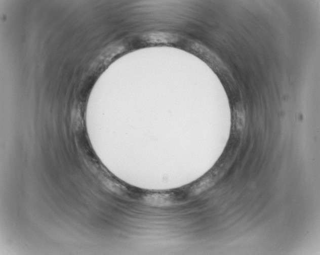 X0000085240422200704092028