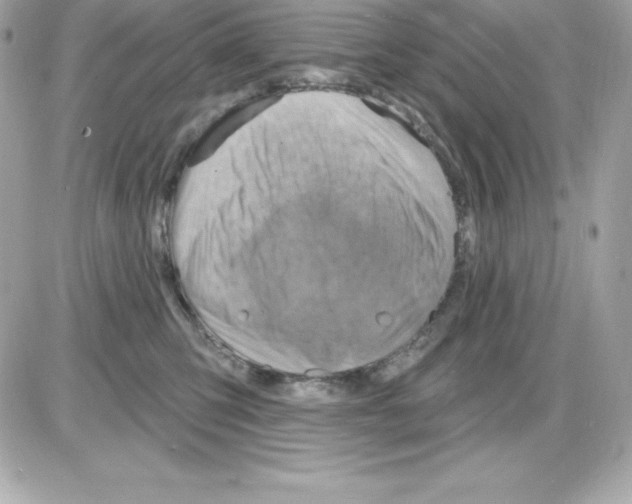 X0000085240423200704092028