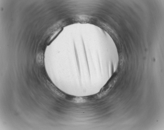 X0000085240425200704092028