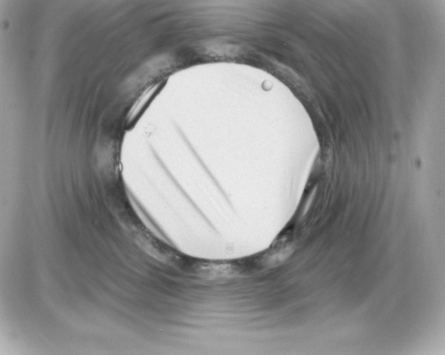 X0000085240428200704092028