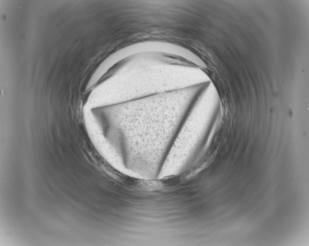 X0000085240429200704092028