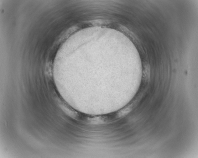 X0000085240430200704092028
