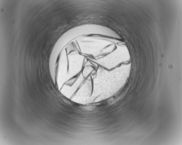 X0000085240432200704092028