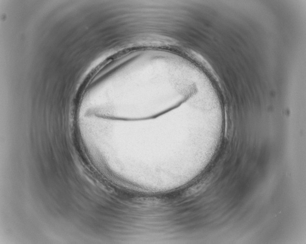X0000085240435200704092027