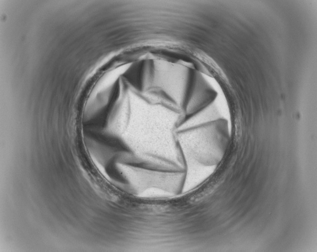 X0000085240436200704092027