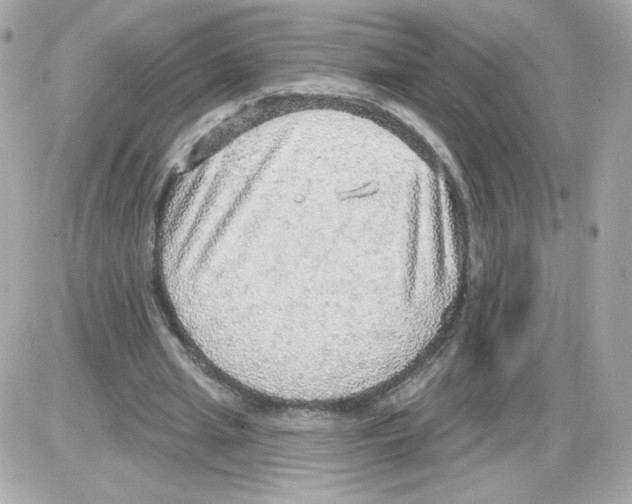 X0000085240437200704092027