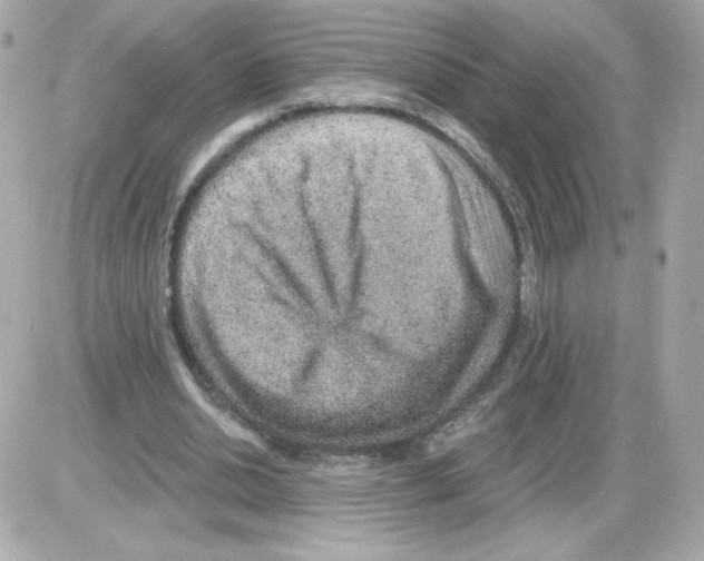 X0000085240438200704092027