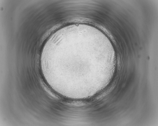 X0000085240445200704092027