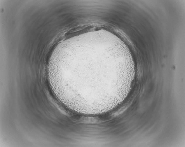 X0000085240449200704092027