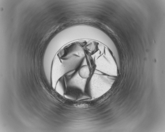 X0000085240452200704092027