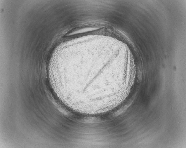 X0000085240453200704092027