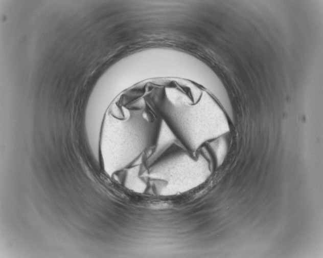 X0000085240456200704092027
