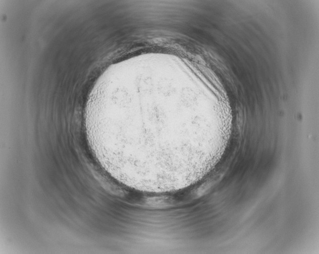 X0000085240461200704092028