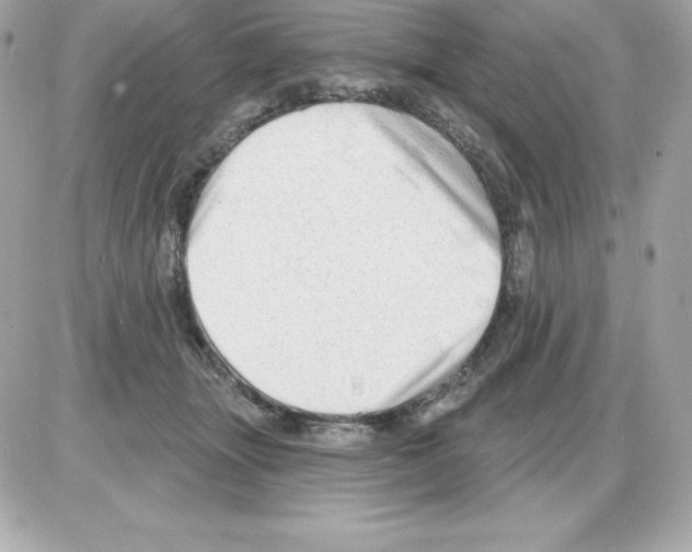 X0000085240463200704092028