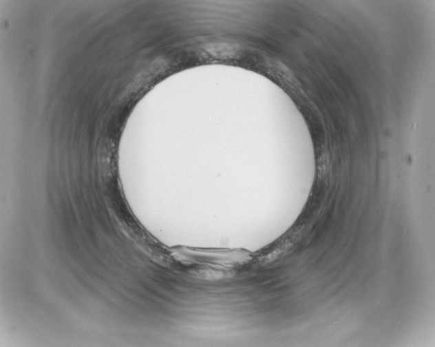 X0000085240464200704092028