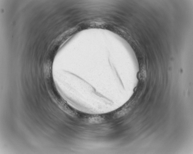 X0000085240468200704092028