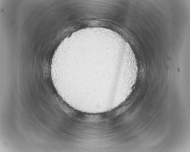 X0000085240469200704092028