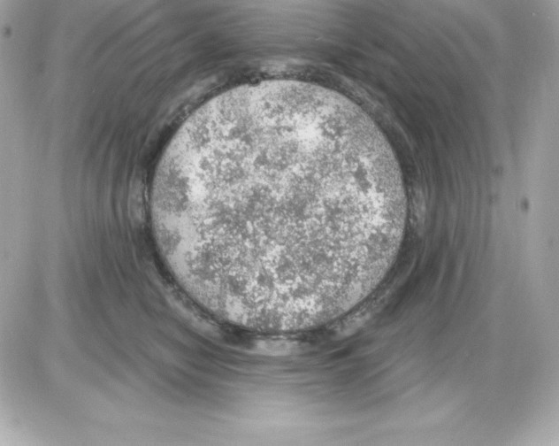 X0000085240470200704092028