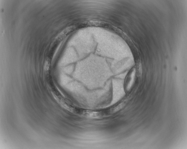 X0000085240472200704092028