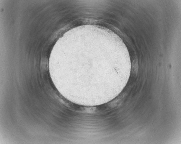 X0000085240474200704092028
