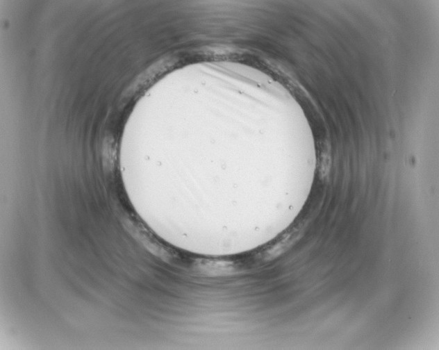 X0000085240476200704092028