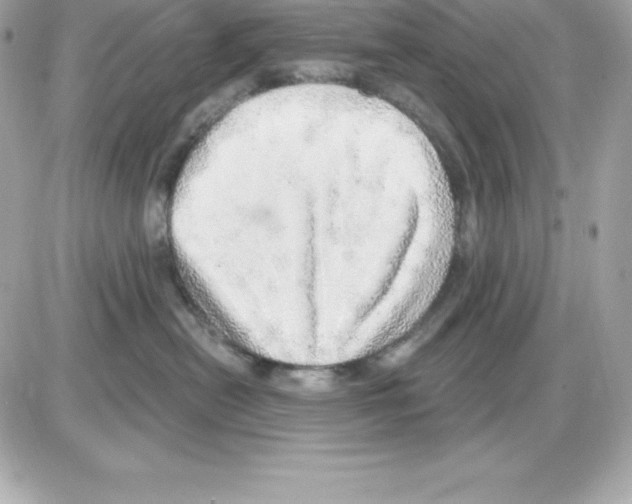 X0000085240478200704092028