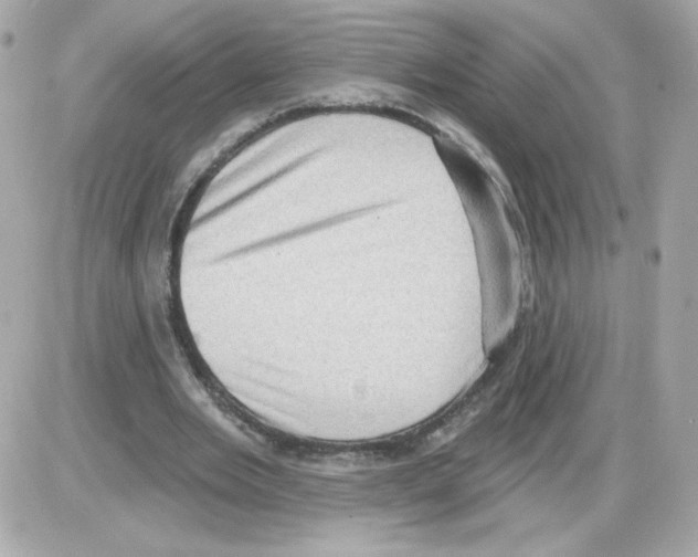 X0000085240485200704092027