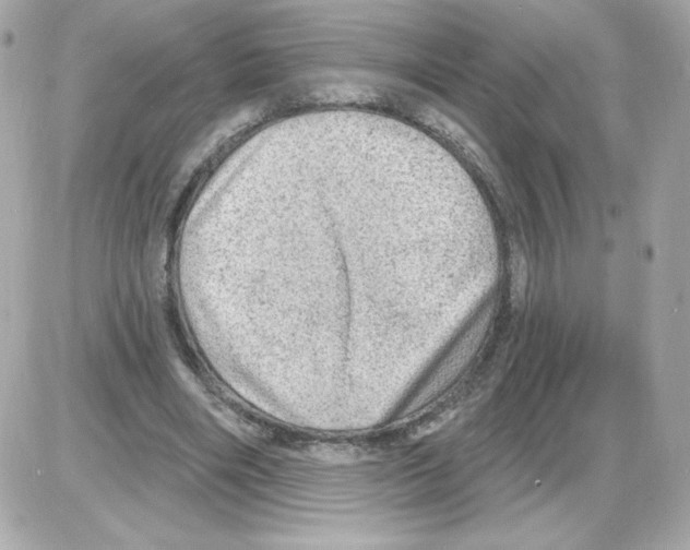 X0000085240490200704092027