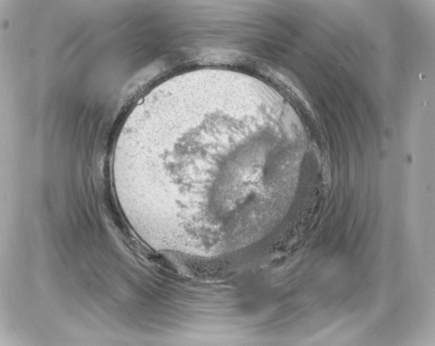 X0000085240491200704092027