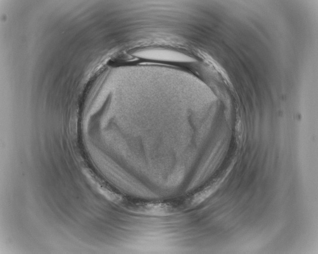 X0000085240493200704092027